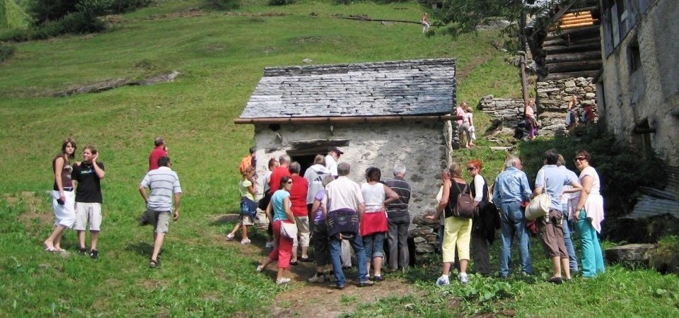 Manifestazioni APAV