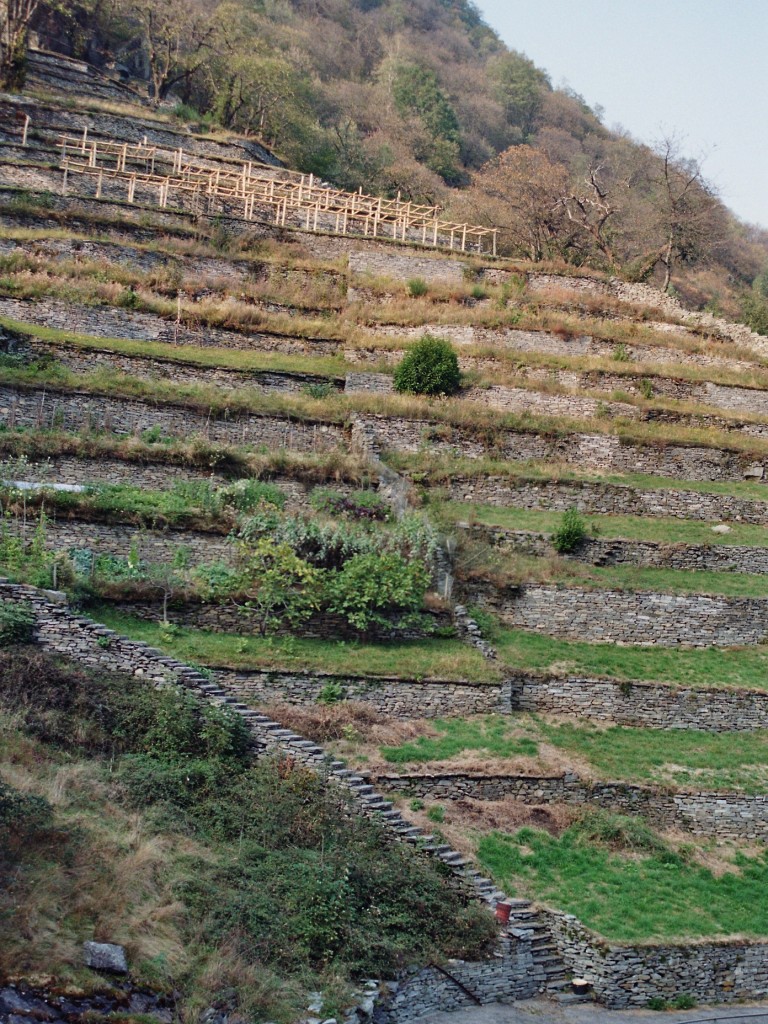 Terrazzamenti di Linescio